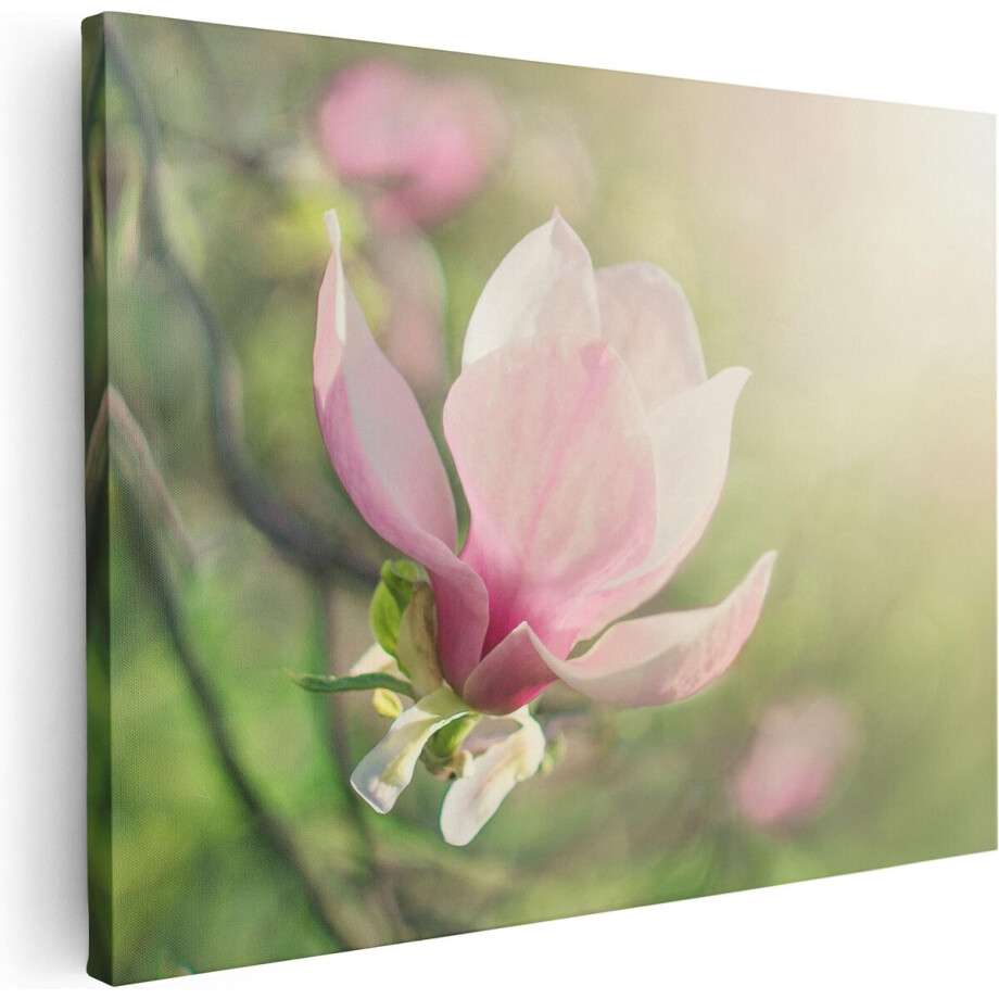 Artaza Canvas Schilderij Roze Magnolia Bloem  - 40x30 - Klein - Foto Op Canvas - Canvas Print afbeelding 1