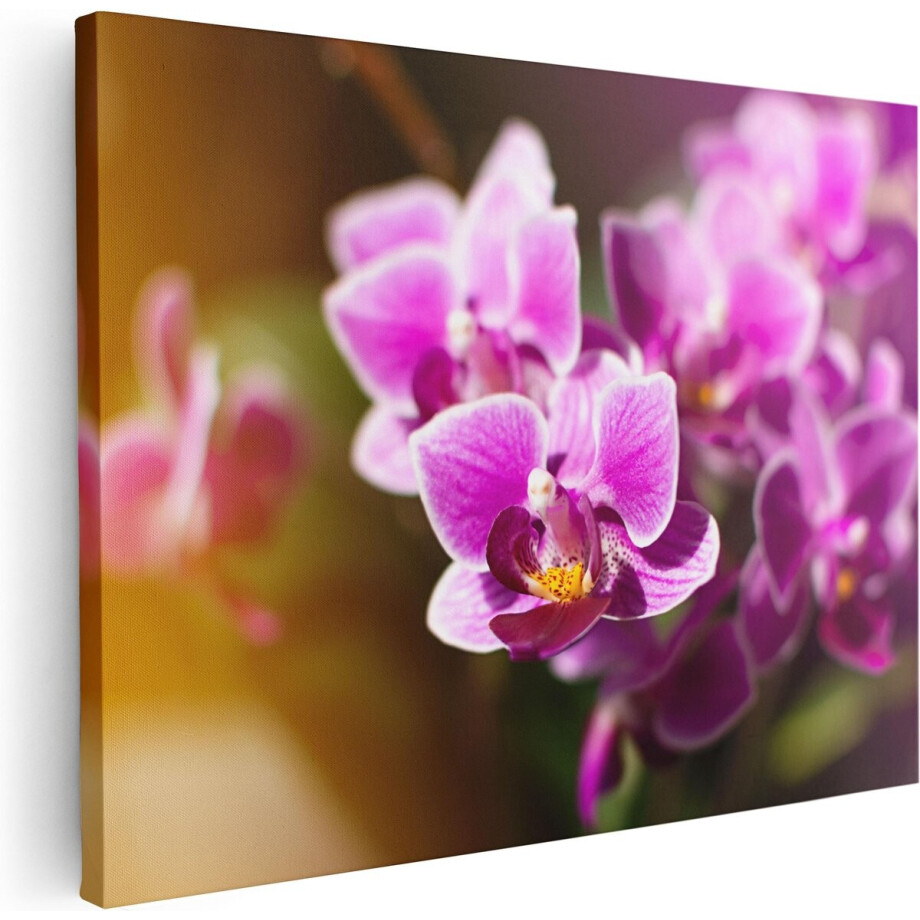 Artaza Canvas Schilderij Paarse Orchidee Bloemen - 80x60 cm - Wanddecoratie Woonkamer - Schilderijen - Muurdecoratie afbeelding 1