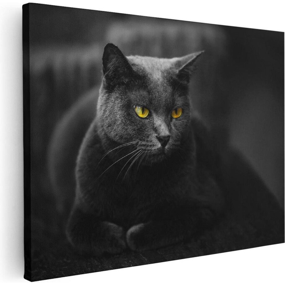 Artaza Canvas Schilderij Zwarte Kat Met Gele Ogen - 40x30 - Klein - Foto Op Canvas - Canvas Print Artaza Canvas Schilderij Zwarte Kat Met Gele Ogen - 40x30 - Klein - Foto Op Canvas - Canvas Print afbeelding 1