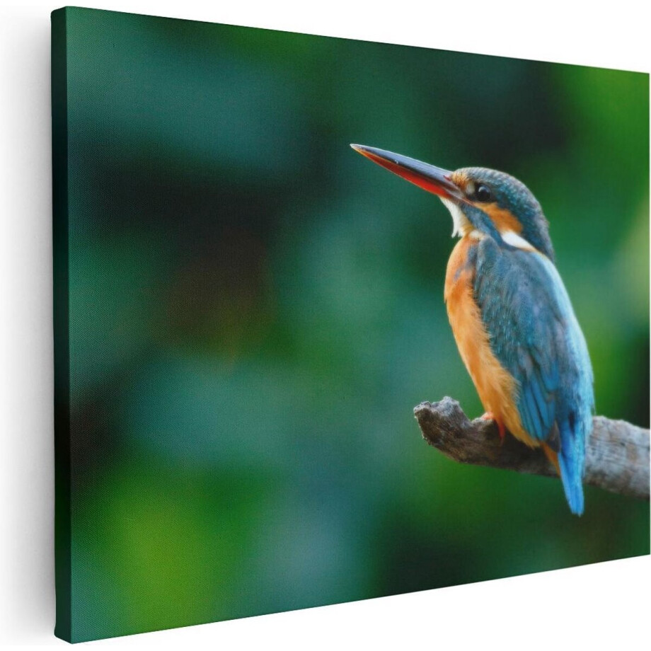 Artaza Canvas Schilderij Blauw Oranje IJsvogel Op Een Tak - 80x60 - Foto Op Canvas - Canvas Print Artaza Canvas Schilderij Blauw Oranje IJsvogel Op Een Tak - 80x60 - Foto Op Canvas - Canvas Print afbeelding 1