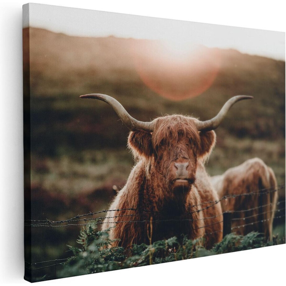 Artaza Canvas Schilderij Schotse Hooglander - 80x60 cm - Wanddecoratie Woonkamer - Muurdecoratie Dieren - Canvas Schilderij Natuur afbeelding 1