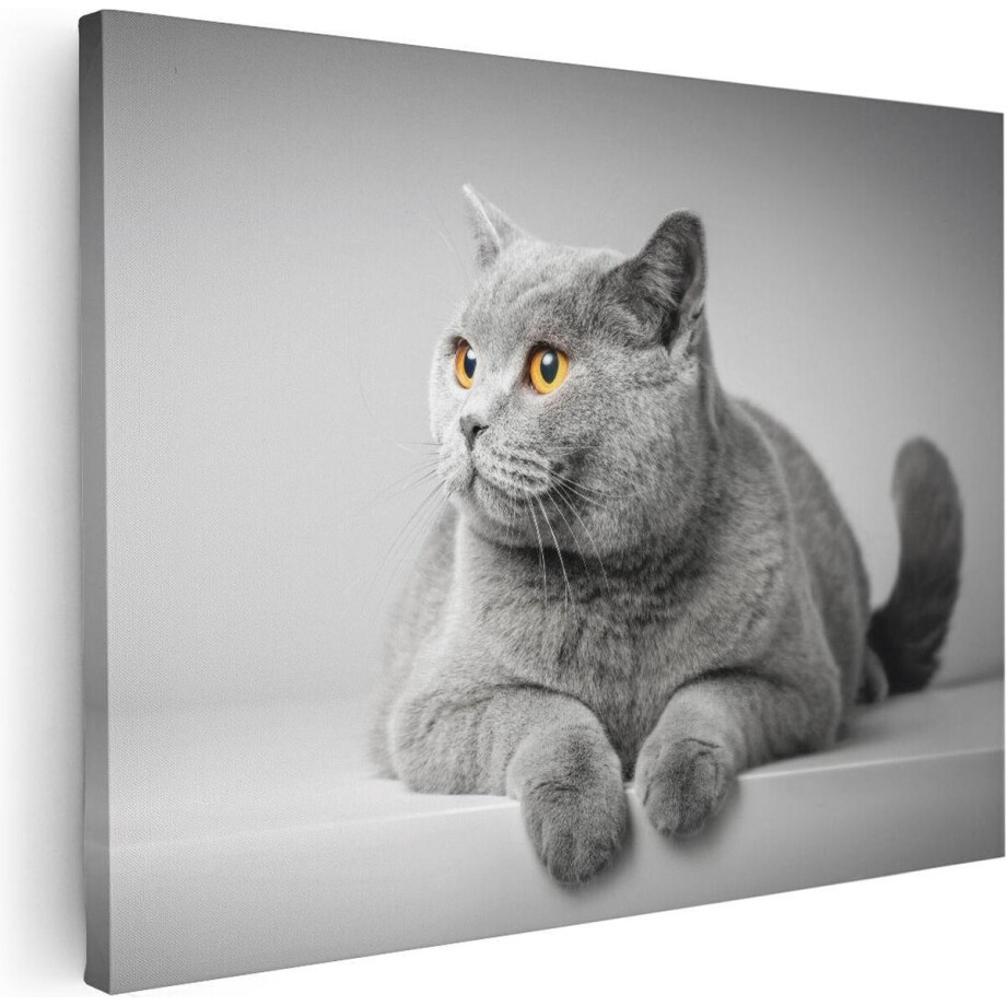 Artaza Canvas Schilderij Grijze Kat Met Oranje Ogen - 80x60 - Foto Op Canvas - Canvas Print afbeelding 1