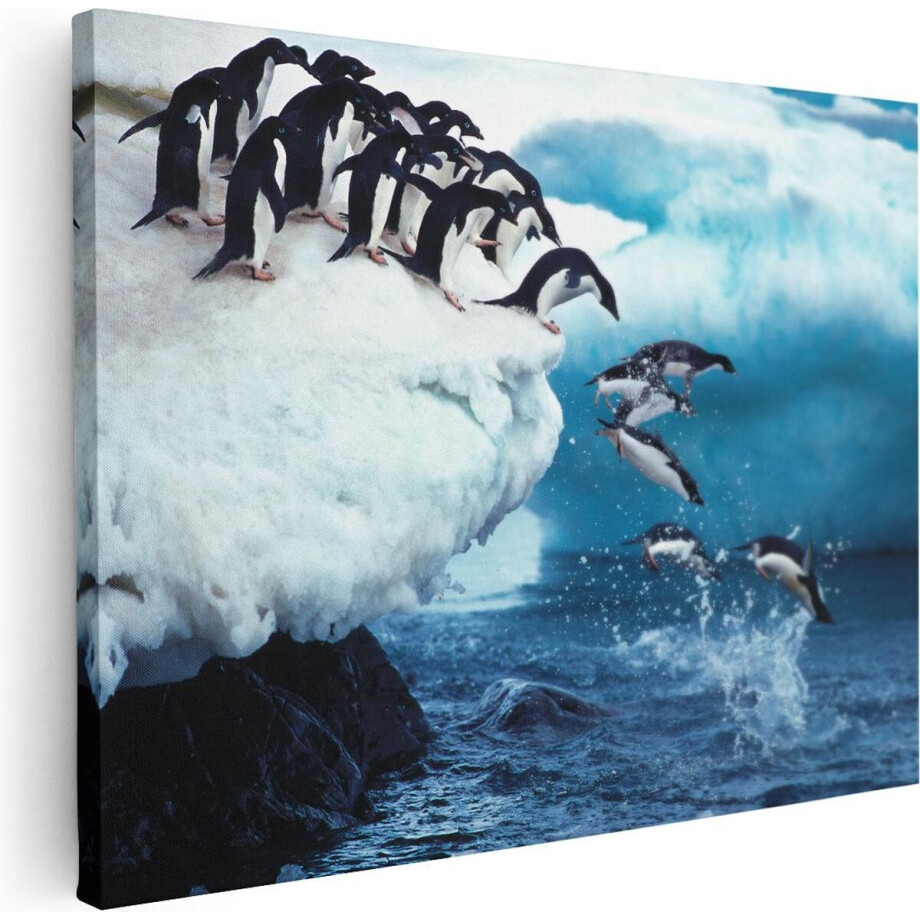 Artaza Canvas Schilderij Kudde Pinguïns Springen vanaf een Rots - 40x30 - Klein - Foto Op Canvas - Canvas Print afbeelding 1