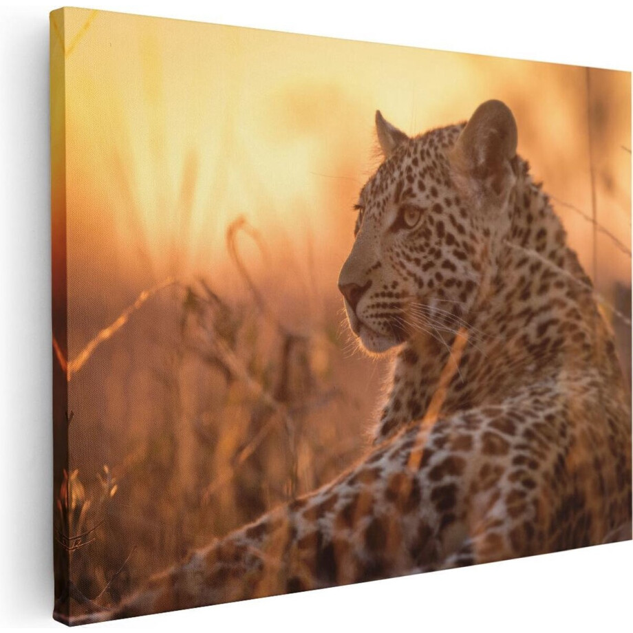Artaza Canvas Schilderij Luipaard Zonsondergang - 40x30 cm - Klein - Wanddecoratie Afrika - Muurdecoratie Dieren - Kamer Accessoires afbeelding 1