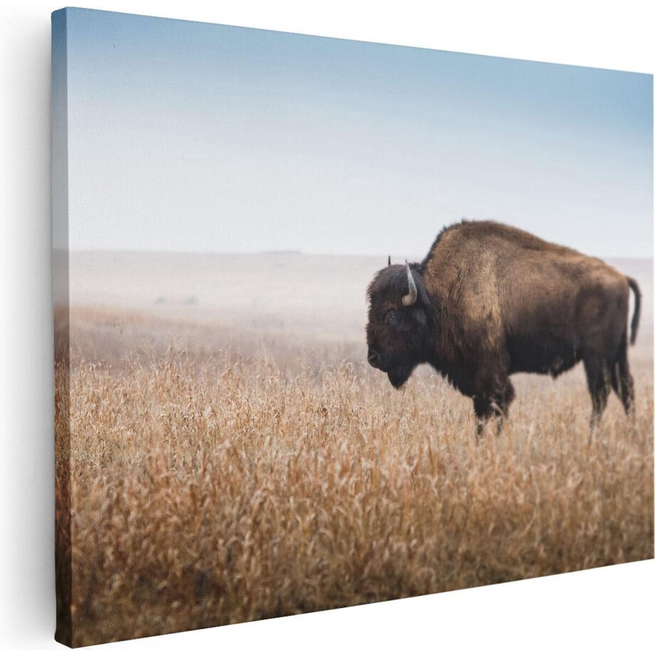 Artaza Canvas Schilderij Buffel - 40x30 cm - Klein - Wanddecoratie Wilde Dieren - Muurdecoratie Natuur - Kamer Accessoires Landschap Artaza Canvas Schilderij Buffel - 40x30 cm - Klein - Wanddecoratie Wilde Dieren - Muurdecoratie Natuur - Kamer Accessoires Landschap afbeelding 1