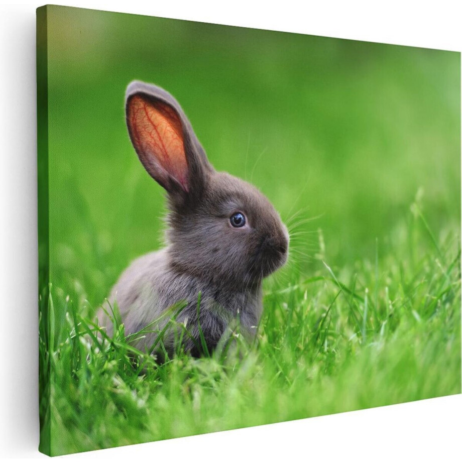 Artaza Canvas Schilderij Konijn - 80x60 cm - Wanddecoratie Dieren - Muurdecoratie Woonkamer - Kamer Accessoires Baby Konijn Artaza Canvas Schilderij Konijn - 80x60 cm - Wanddecoratie Dieren - Muurdecoratie Woonkamer - Kamer Accessoires Baby Konijn afbeelding 1