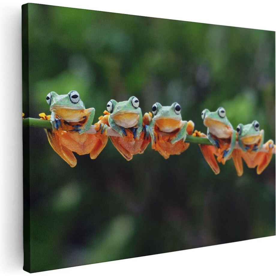 Artaza Canvas Schilderij Groep Kikkers op een Tak - 80x60 cm - Wanddecoratie Woonkamer - Schilderijen - Muurdecoratie afbeelding 1