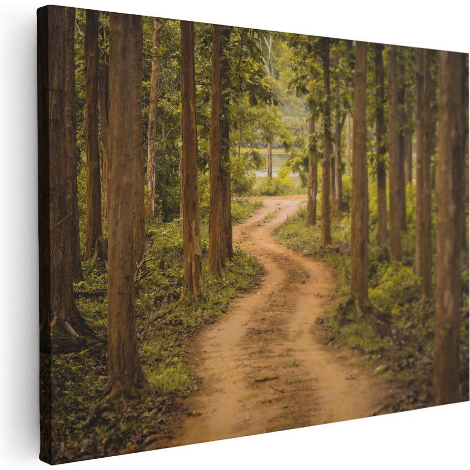 Artaza Canvas Schilderij Bos - 80x60 cm - Wanddecoratie Landschap - Muurdecoratie Bospad - Schilderijen Op Canvas Natuur afbeelding 1