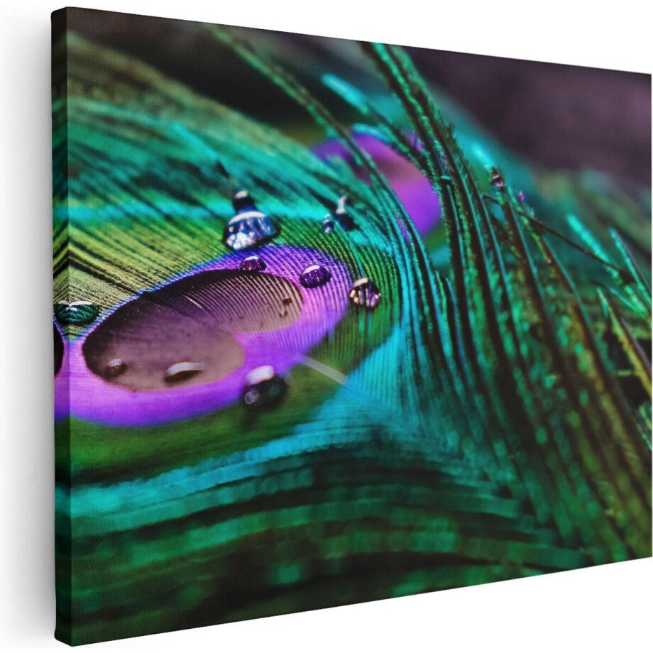 Artaza Canvas Schilderij Kleurrijke Pauw Veer Met Waterdruppels - 80x60 - Foto Op Canvas - Canvas Print Artaza Canvas Schilderij Kleurrijke Pauw Veer Met Waterdruppels - 80x60 - Foto Op Canvas - Canvas Print afbeelding 1