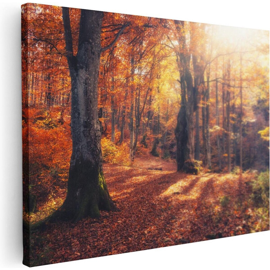 Artaza Canvas Schilderij Oranje Herfstbos Met Zonneschijn - 40x30 - Klein - Foto Op Canvas - Canvas Print afbeelding 1