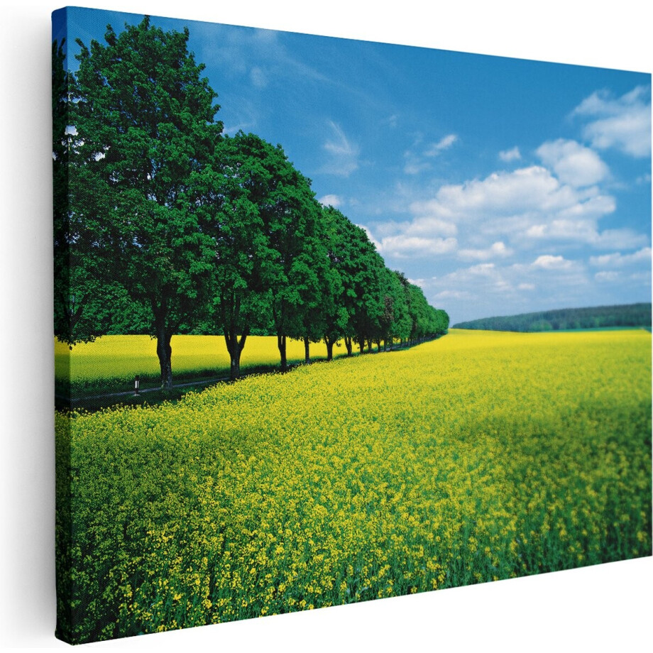 Artaza Canvas Schilderij Bloemenveld - 40x30 cm - Klein - Wanddecoratie Natuur - Muurdecoratie Landschap - Kamer Accessoires afbeelding 1
