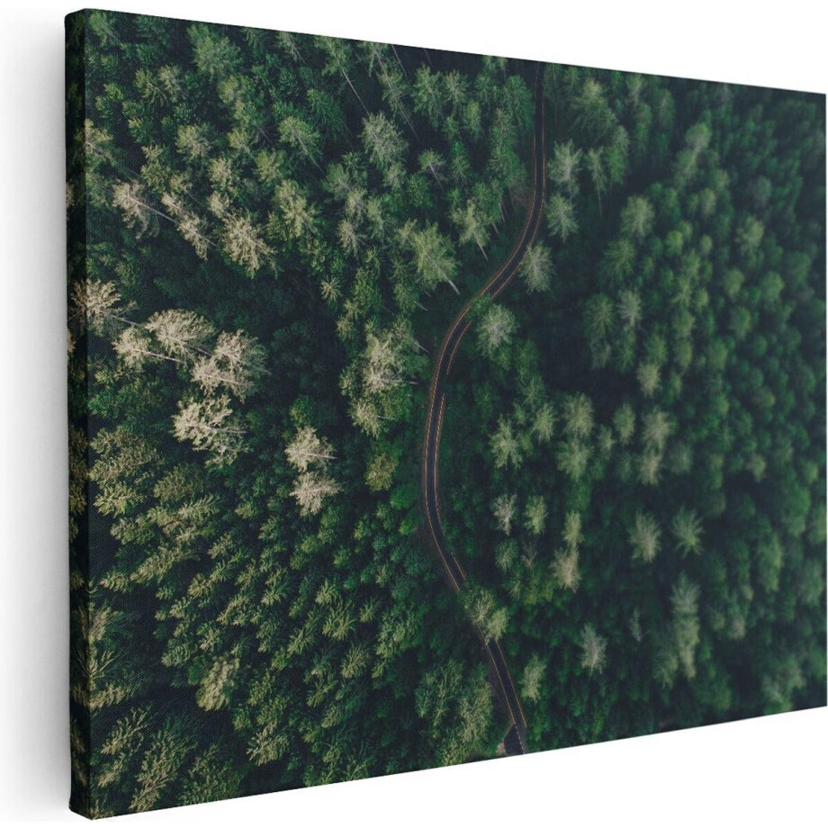 Artaza Canvas Schilderij Bosweg - 40x30 cm - Klein - Wanddecoratie Landschap - Muurdecoratie Natuur - Schilderijen Op Canvas Artaza Canvas Schilderij Bosweg - 40x30 cm - Klein - Wanddecoratie Landschap - Muurdecoratie Natuur - Schilderijen Op Canvas afbeelding 1