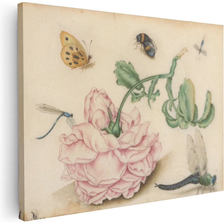 Artaza Canvas Schilderij Een Roos en Vijf Insecten - Christoffel van den Berghe - 80x60 - Kunst - Canvas Print - Muurdecoratie Artaza Canvas Schilderij Een Roos en Vijf Insecten - Christoffel van den Berghe - 80x60 - Kunst - Canvas Print - Muurdecoratie afbeelding 1