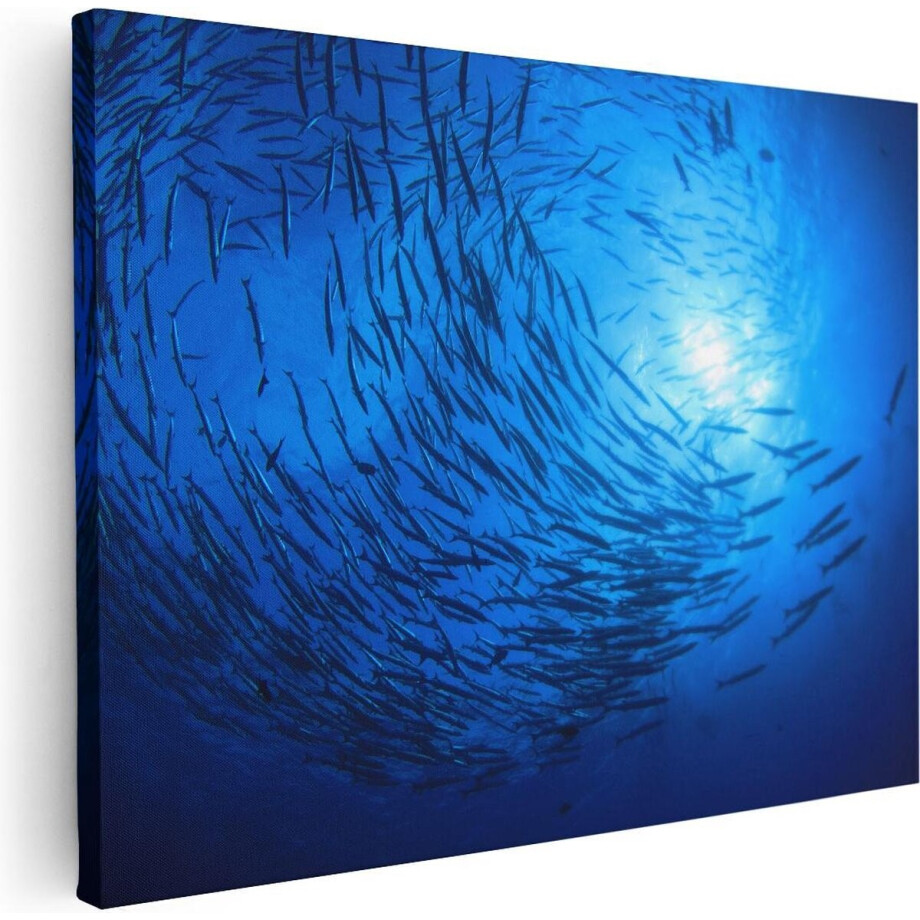 Artaza Canvas Schilderij Zwerm Vissen in de Oceaan - 80x60 - Foto Op Canvas - Canvas Print Artaza Canvas Schilderij Zwerm Vissen in de Oceaan - 80x60 - Foto Op Canvas - Canvas Print afbeelding 1