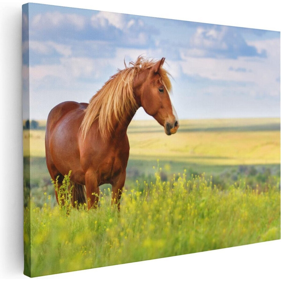 Artaza Canvas Schilderij Bruin Paard In De Wei - 40x30 - Klein - Foto Op Canvas - Canvas Print Artaza Canvas Schilderij Bruin Paard In De Wei - 40x30 - Klein - Foto Op Canvas - Canvas Print afbeelding 1