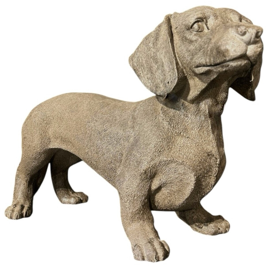 Decoratief Beeld Teckel - Bruin - 50 x 18 x 31 cm afbeelding 1