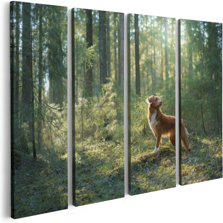 Artaza Canvas Schilderij Vierluik Retriever Hond In Het Bos Met Zon - 80x60 - Foto Op Canvas - Canvas Print afbeelding 1