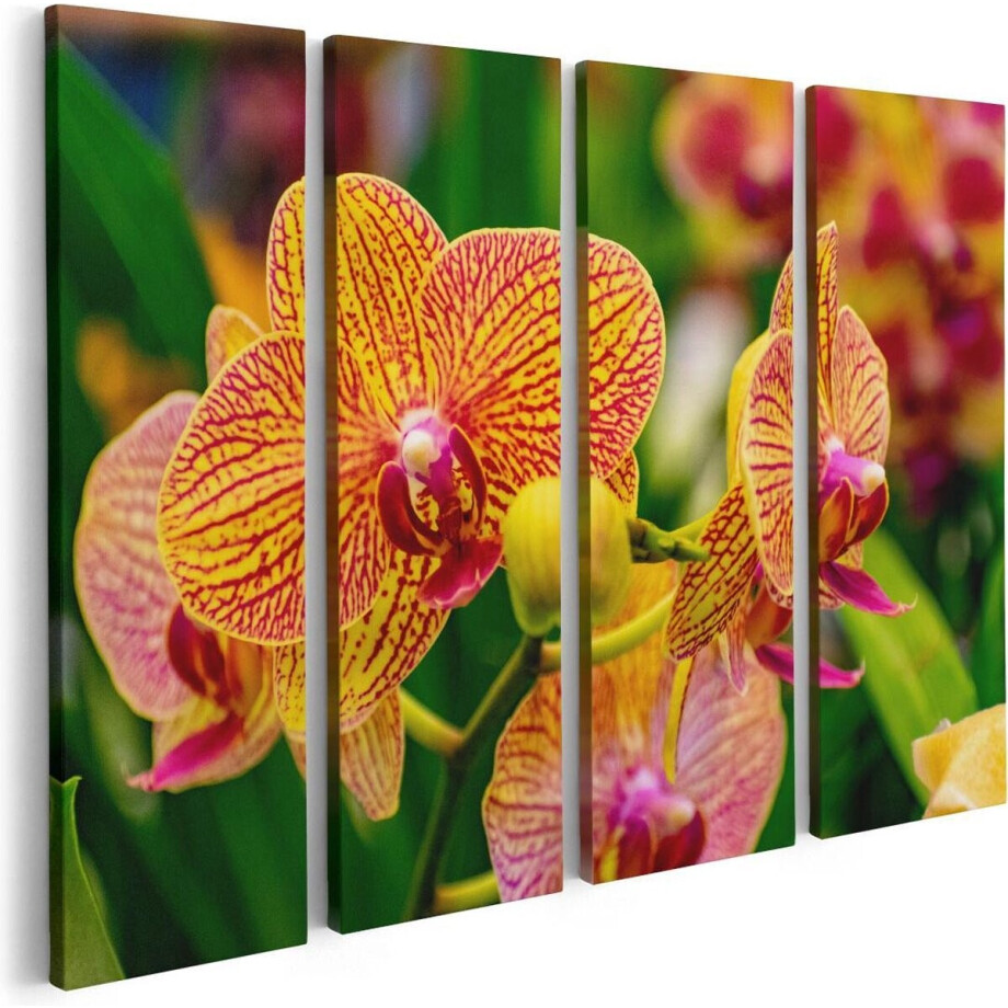 Artaza Canvas Schilderij Vierluik Geel Rode Orchidee Bloemen - 80x60 - Foto Op Canvas - Canvas Print afbeelding 1