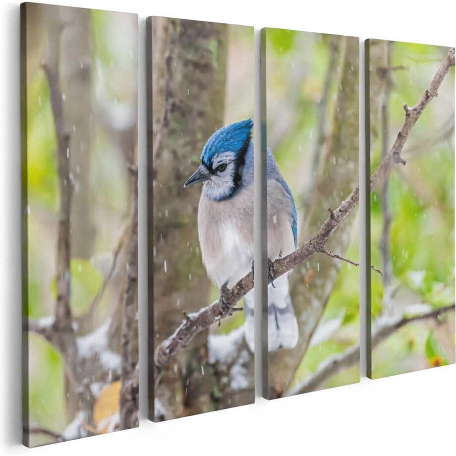 Artaza Canvas Schilderij Vierluik Blauwe Gaai Vogel In De Sneeuw - 80x60 - Foto Op Canvas - Canvas Print Artaza Canvas Schilderij Vierluik Blauwe Gaai Vogel In De Sneeuw - 80x60 - Foto Op Canvas - Canvas Print afbeelding 1