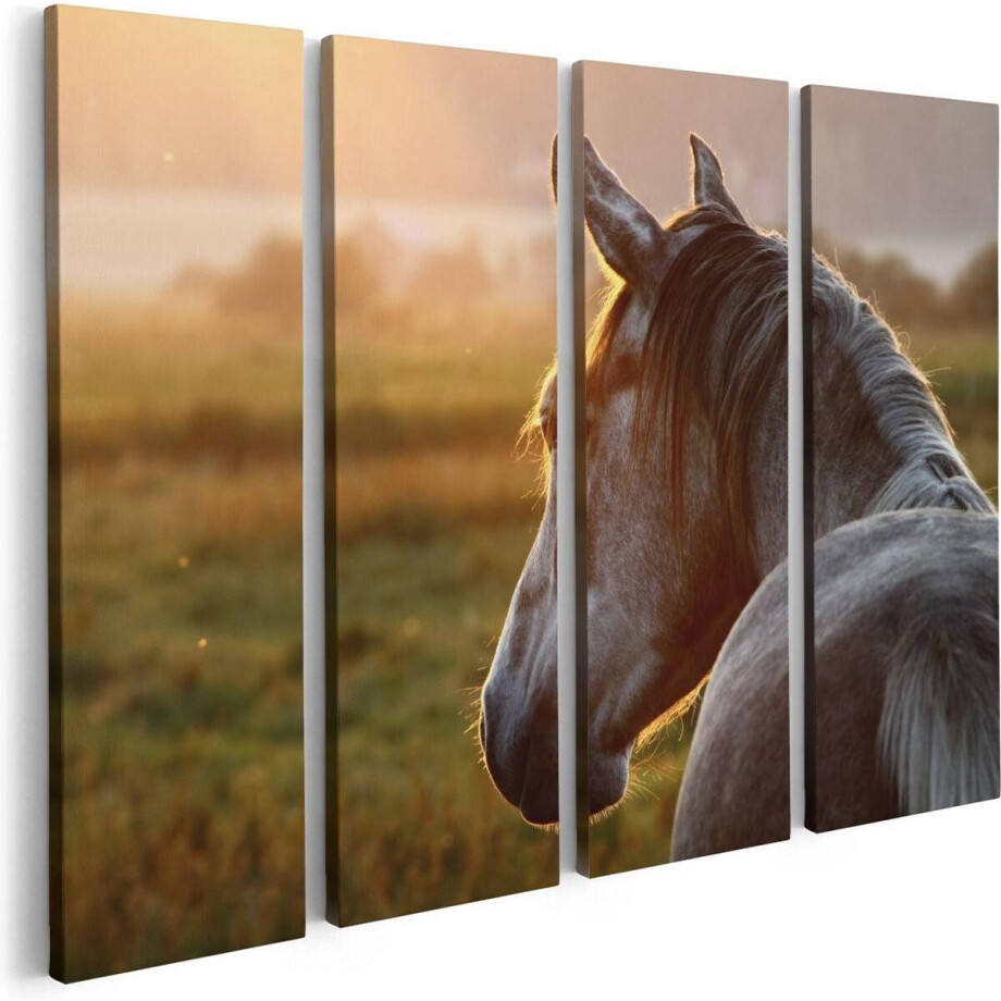 Artaza Canvas Schilderij Vierluik Paard In De Weide Tijdens Zonsondergang - 80x60 - Foto Op Canvas - Canvas Print Artaza Canvas Schilderij Vierluik Paard In De Weide Tijdens Zonsondergang - 80x60 - Foto Op Canvas - Canvas Print afbeelding 1