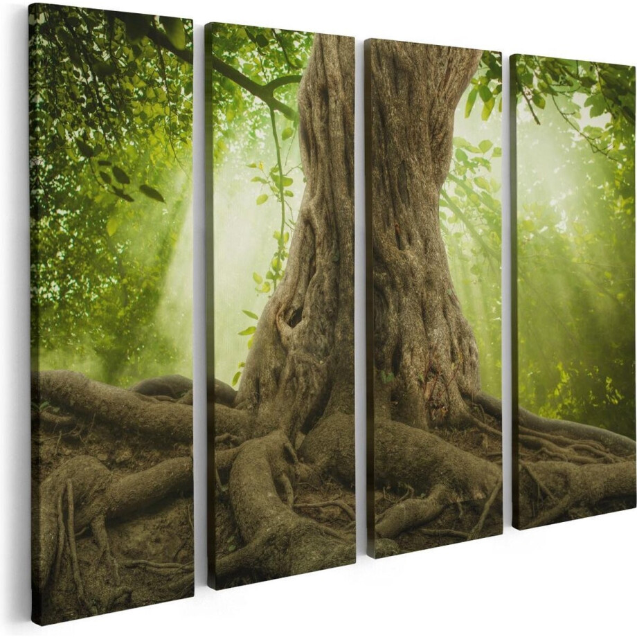 Artaza Canvas Schilderij Vierluik Grote Boom In Het Bos Met Wortels - 80x60 - Foto Op Canvas - Canvas Print Artaza Canvas Schilderij Vierluik Grote Boom In Het Bos Met Wortels - 80x60 - Foto Op Canvas - Canvas Print afbeelding 1