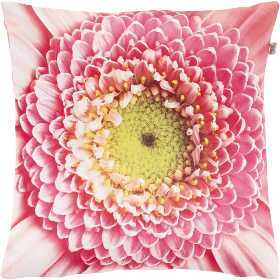 Dutch Decor SINDY - Kussenhoes met bloemenprint roze 45x45 cm - met rits afbeelding 1