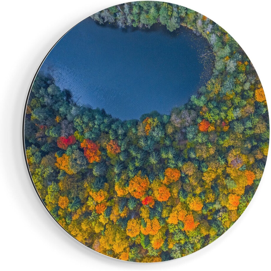 Artaza Dibond Muurcirkel Kleurrijke Bos Met Bomen Naast Een Meer - Ø 80 cm - Groot - Wandcirkel - Rond Schilderij - Voor Binnen en Buiten afbeelding 1