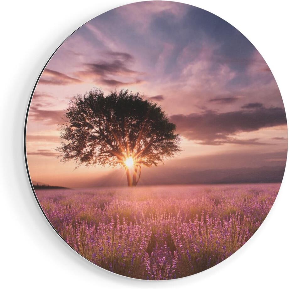 Artaza Dibond Muurcirkel Bloemenveld Met Lavendel Bij Zonsondergang - Ø 90 cm - Groot - Wandcirkel - Rond Schilderij - Voor Binnen en Buiten afbeelding 1