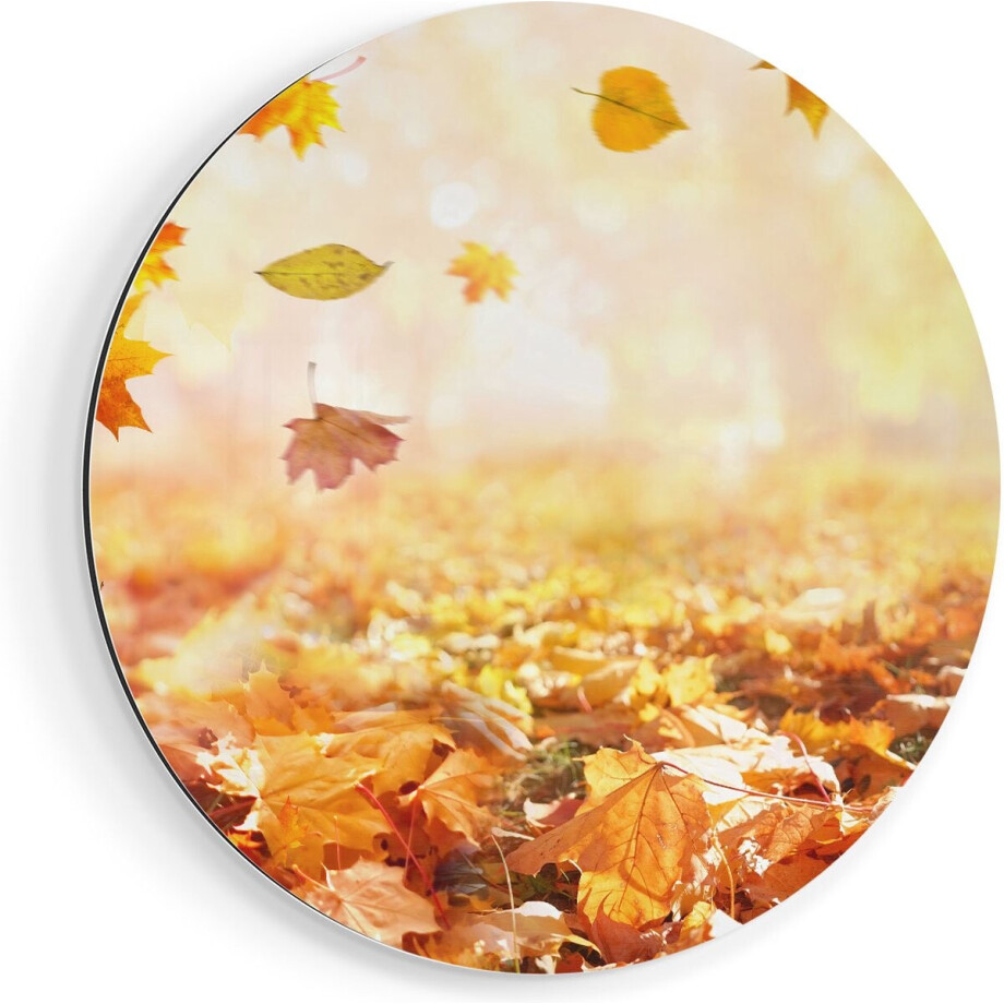 Artaza Dibond Muurcirkel Blauwe Paraplu in de Herfstbos met Bladeren - Ø 70 cm - Wandcirkel - Rond Schilderij - Voor Binnen en Buiten Artaza Dibond Muurcirkel Blauwe Paraplu in de Herfstbos met Bladeren - Ø 70 cm - Wandcirkel - Rond Schilderij - Voor Binnen en Buiten afbeelding 1