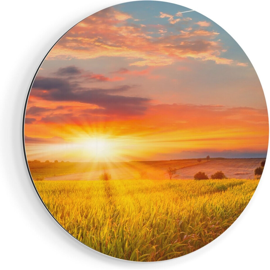Artaza Dibond Muurcirkel Zonsopgang Op Het Maïsveld - Ø 60 cm - Wandcirkel - Rond Schilderij - Voor Binnen en Buiten Artaza Dibond Muurcirkel Zonsopgang Op Het Maïsveld - Ø 60 cm - Wandcirkel - Rond Schilderij - Voor Binnen en Buiten afbeelding 1