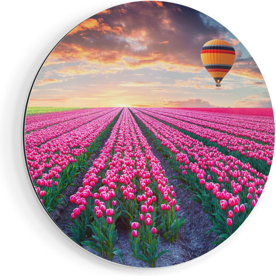 Artaza Dibond Muurcirkel Bloemenveld Met Roze Tulpen - Luchtballon - Ø 40 cm - Klein - Wandcirkel - Rond Schilderij - Voor Binnen en Buiten Artaza Dibond Muurcirkel Bloemenveld Met Roze Tulpen - Luchtballon - Ø 40 cm - Klein - Wandcirkel - Rond Schilderij - Voor Binnen en Buiten afbeelding 1