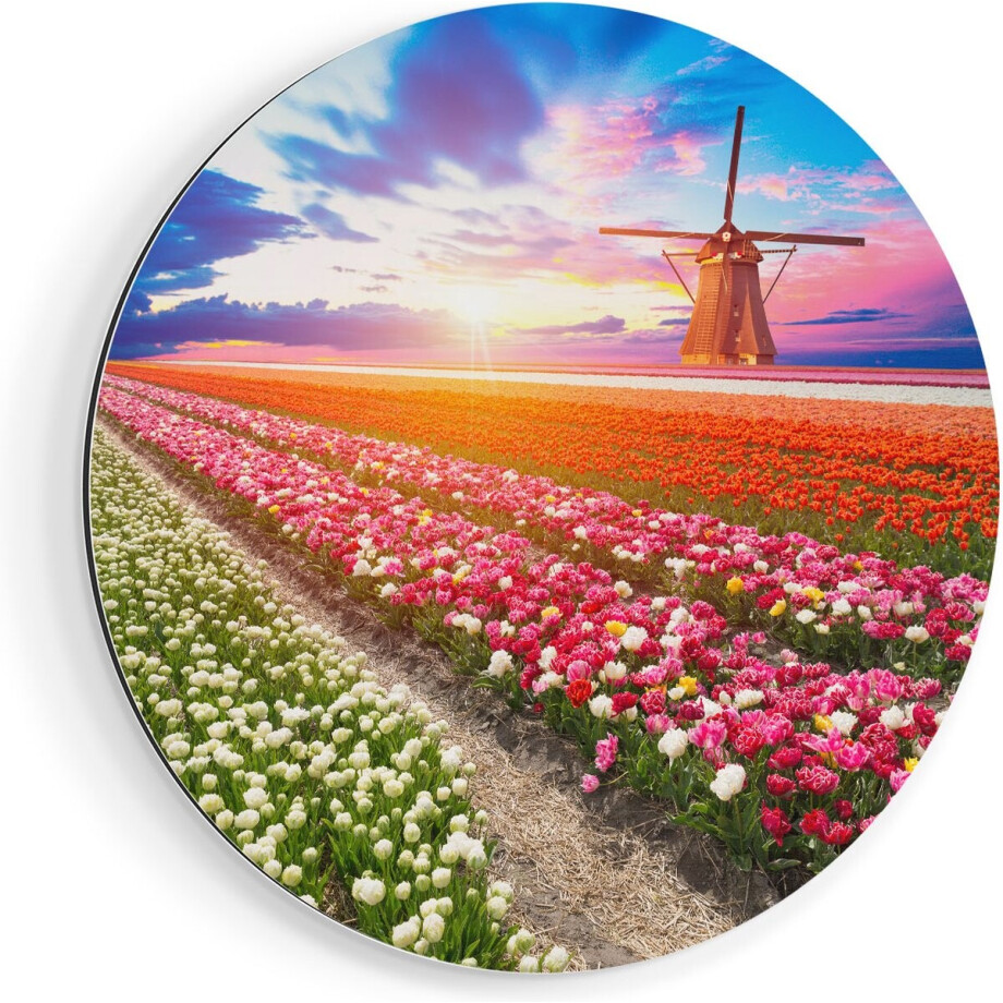Artaza Dibond Muurcirkel Kleurrijke Bloemenveld Met Een Windmolen - Ø 80 cm - Groot - Wandcirkel - Rond Schilderij - Voor Binnen en Buiten Artaza Dibond Muurcirkel Kleurrijke Bloemenveld Met Een Windmolen - Ø 80 cm - Groot - Wandcirkel - Rond Schilderij - Voor Binnen en Buiten afbeelding 1