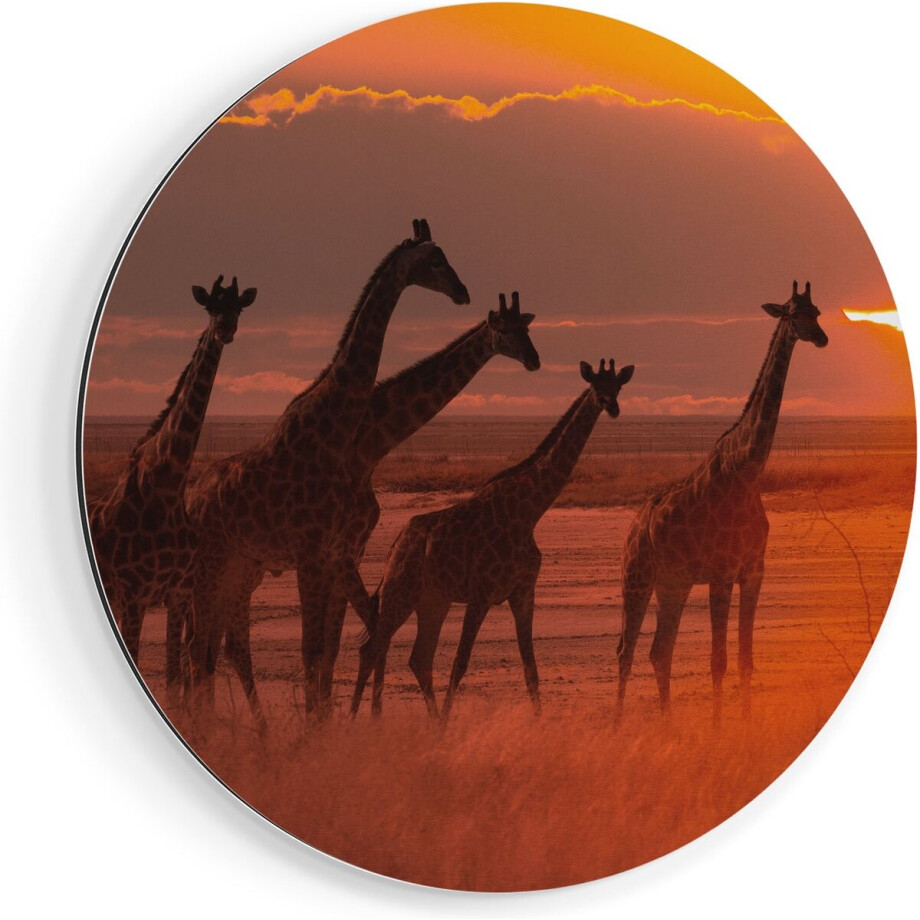 Artaza Dibond Muurcirkel - Giraffe Kudde Bij Zonsondergang - Ø 90 cm - Groot - Wandcirkel - Rond Schilderij - Voor Binnen en Buiten Artaza Dibond Muurcirkel - Giraffe Kudde Bij Zonsondergang - Ø 90 cm - Groot - Wandcirkel - Rond Schilderij - Voor Binnen en Buiten afbeelding 1