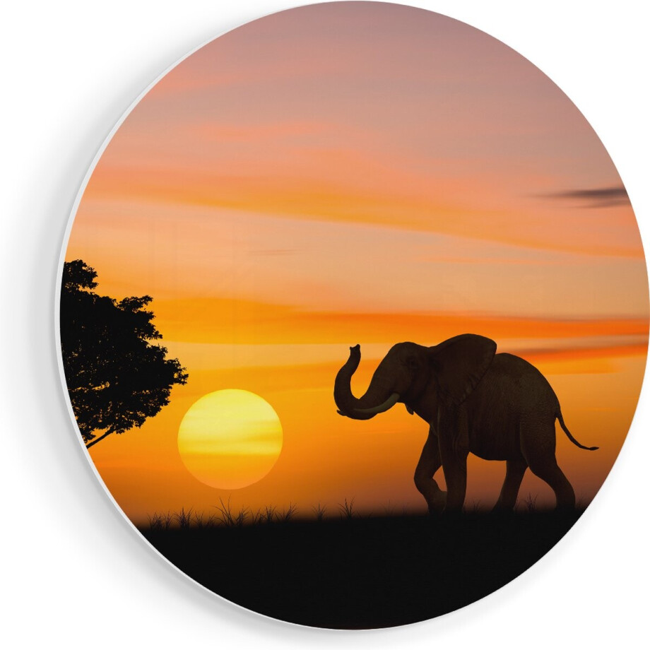 Artaza Forex Muurcirkel Olifant Silhouet Tijdens Zonsondergang - 50x50 cm - Klein - Wandcirkel - Rond Schilderij - Muurdecoratie Cirkel Artaza Forex Muurcirkel Olifant Silhouet Tijdens Zonsondergang - 50x50 cm - Klein - Wandcirkel - Rond Schilderij - Muurdecoratie Cirkel afbeelding 1