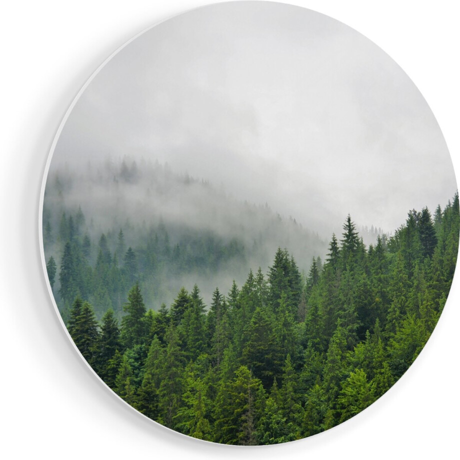Artaza Forex Muurcirkel Groen Bos Met Bomen Tijdens De Mist - 40x40 cm - Klein - Wandcirkel - Rond Schilderij - Wanddecoratie Cirkel afbeelding 1