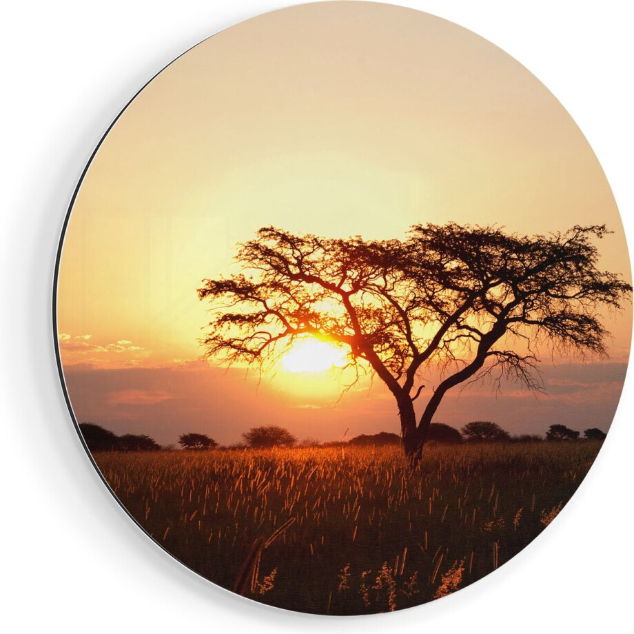 Artaza Dibond Muurcirkel Zonsondergang Achter Een Acacia Boom - Ø 60 cm - Wandcirkel - Rond Schilderij - Voor Binnen en Buiten Artaza Dibond Muurcirkel Zonsondergang Achter Een Acacia Boom - Ø 60 cm - Wandcirkel - Rond Schilderij - Voor Binnen en Buiten afbeelding 1