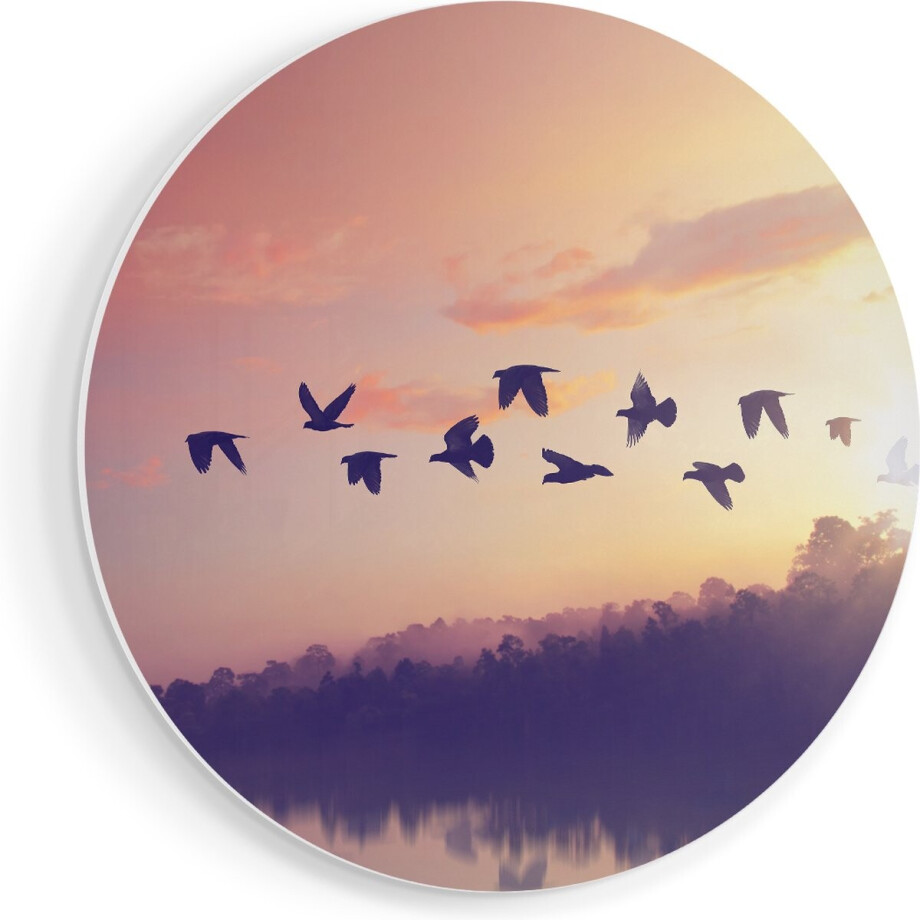 Artaza Forex Muurcirkel Silhouet Vogels Tijdens Zonsondergang - 70x70 cm - Wandcirkel - Rond Schilderij - Wanddecoratie Cirkel - Muurdecoratie afbeelding 1