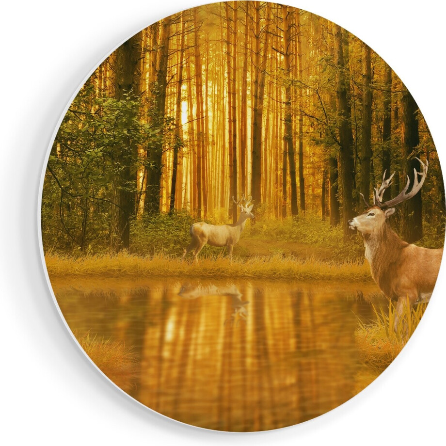 Artaza Forex Muurcirkel Twee Herten In Het Bos Bij Het Water - 40x40 cm - Klein - Wandcirkel - Rond Schilderij - Wanddecoratie Cirkel afbeelding 1