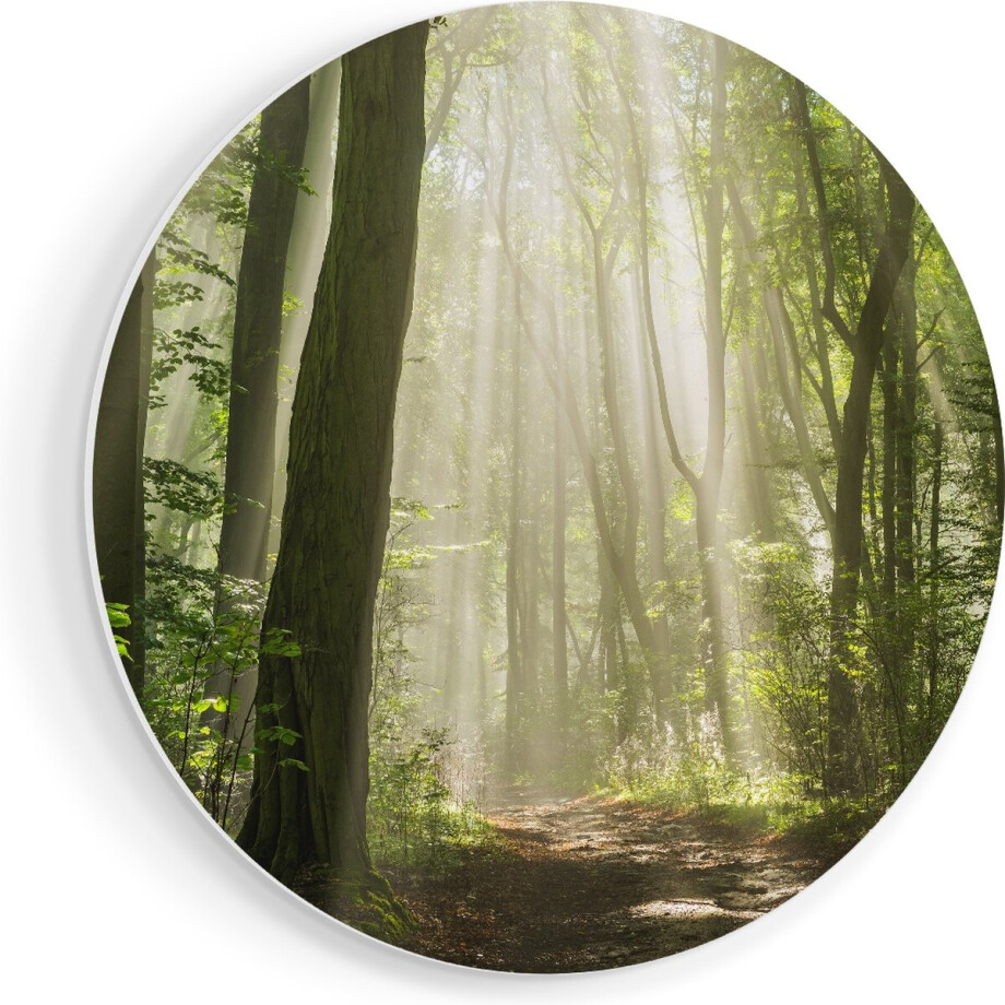 Artaza Forex Muurcirkel Bos Met Bomen En Zonneschijn - 90x90 cm - Groot - Wandcirkel - Rond Schilderij - Muurdecoratie Cirkel afbeelding 1