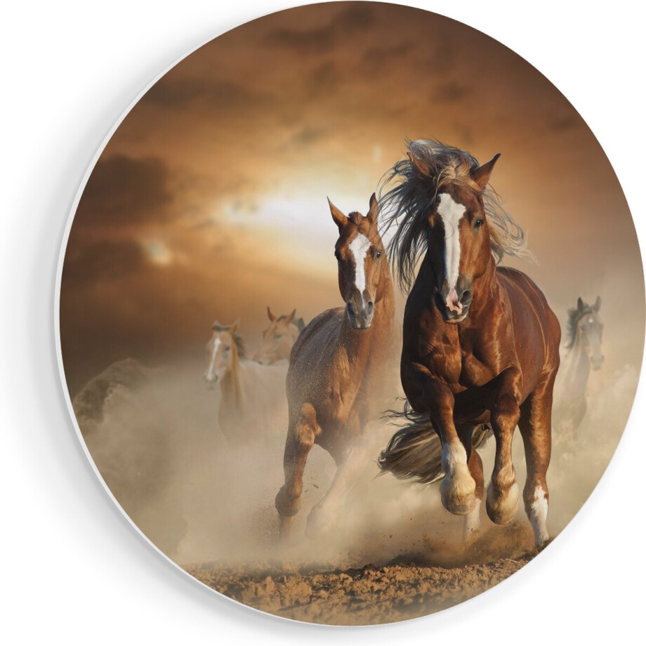 Artaza Forex Muurcirkel Wilde Paarden In Het Zand - 50x50 cm - Klein - Wandcirkel - Rond Schilderij - Muurdecoratie Cirkel afbeelding 1