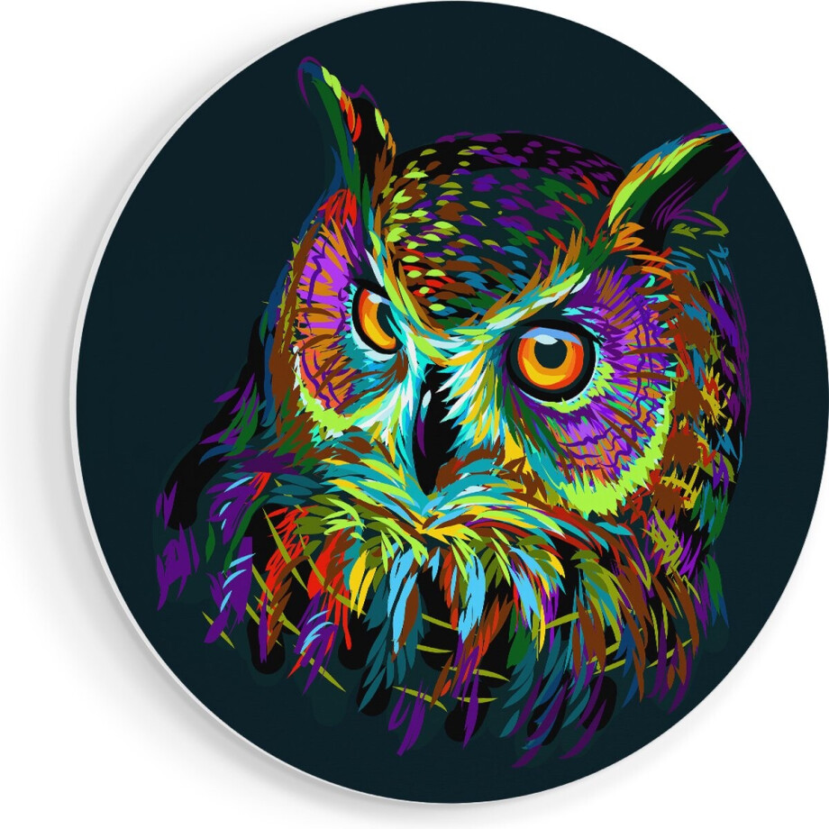 Artaza Forex Muurcirkel Kleurrijke Uil - Abstract - 90x90 cm - Groot - Wandcirkel - Rond Schilderij - Muurdecoratie Cirkel afbeelding 1