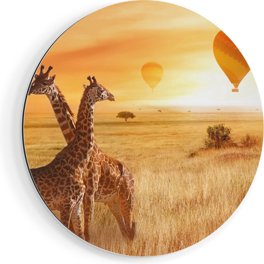 Artaza Dibond Muurcirkel Twee Giraffen Met Twee Oranje Luchtballonnen - Ø 50 cm - Klein - Wandcirkel - Rond Schilderij - Voor Binnen en Buiten afbeelding 1