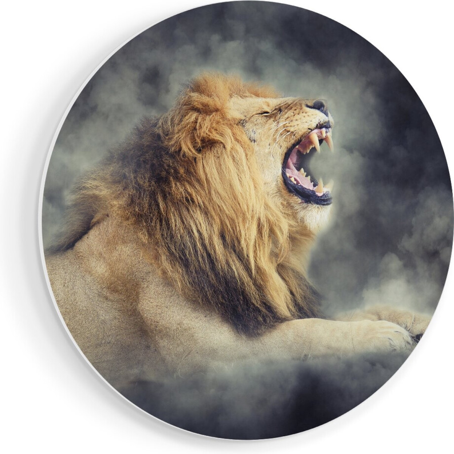 Artaza Forex Muurcirkel Brullende Leeuw - 40x40 cm - Klein - Wandcirkel - Rond Schilderij - Wanddecoratie Cirkel afbeelding 1