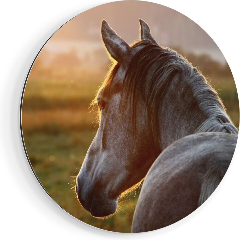 Artaza Dibond Muurcirkel Paard In De Weide Tijdens Zonsondergang - Ø 70 cm - Wandcirkel - Rond Schilderij - Voor Binnen en Buiten afbeelding 1