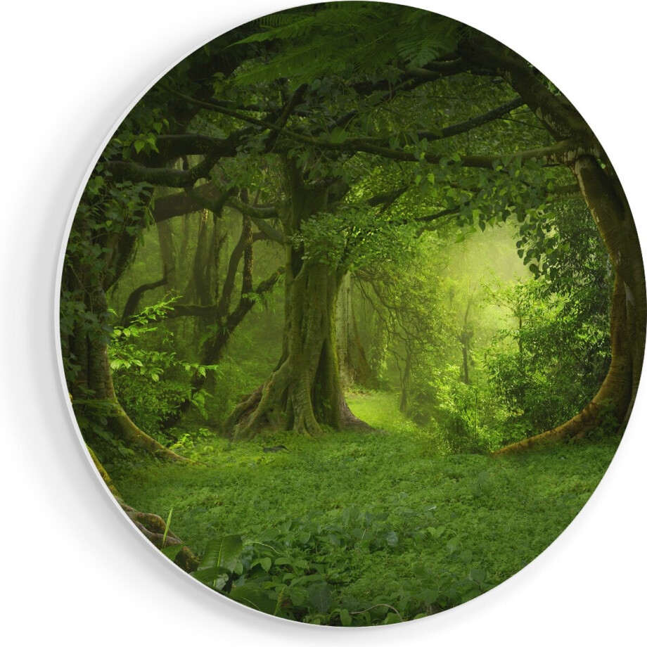 Artaza Forex Muurcirkel Groene Tropische Jungle Bos - 70x70 cm - Wandcirkel - Rond Schilderij - Wanddecoratie Cirkel - Muurdecoratie afbeelding 1