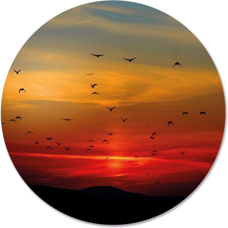 Label2X - Schilderij - Sunset Ø Aanbevolen - Multicolor - 40 X 40 Cm Label2X - Schilderij - Sunset Ø Aanbevolen - Multicolor - 40 X 40 Cm afbeelding 1