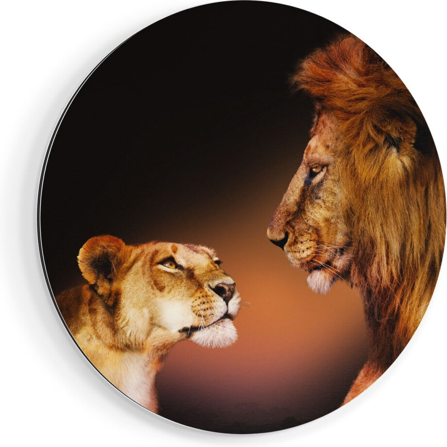 Artaza Dibond Muurcirkel Leeuw En Leeuwin - Kleur - Ø 40 cm - Klein - Wandcirkel - Rond Schilderij - Voor Binnen en Buiten afbeelding 1