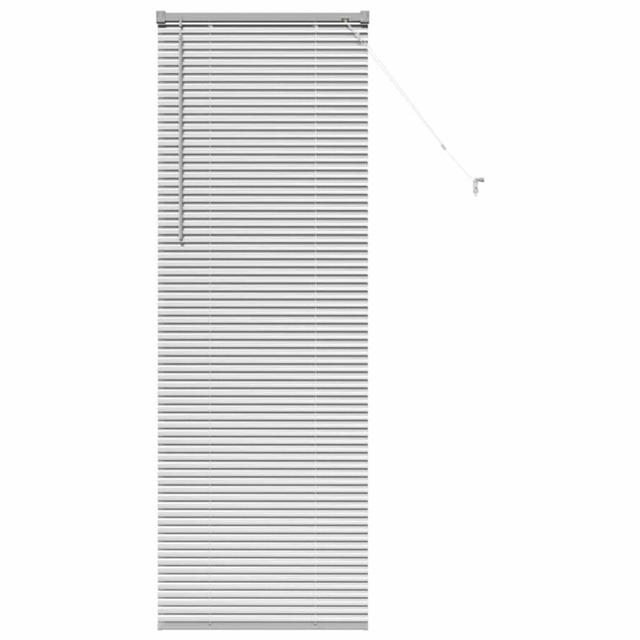 vidaXL - Venetiaanse - Jaloezieën - Zilver - 175 - x - 60 - cm - Aluminium vidaXL - Venetiaanse - Jaloezieën - Zilver - 175 - x - 60 - cm - Aluminium afbeelding 1