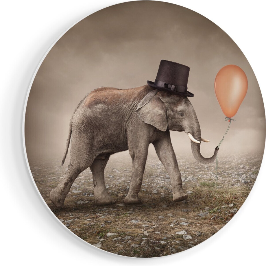 Artaza Forex Muurcirkel Olifant Met Een Oranje Ballon - Hoedje - 70x70 cm - Wandcirkel - Rond Schilderij - Wanddecoratie Cirkel - Muurdecoratie afbeelding 1