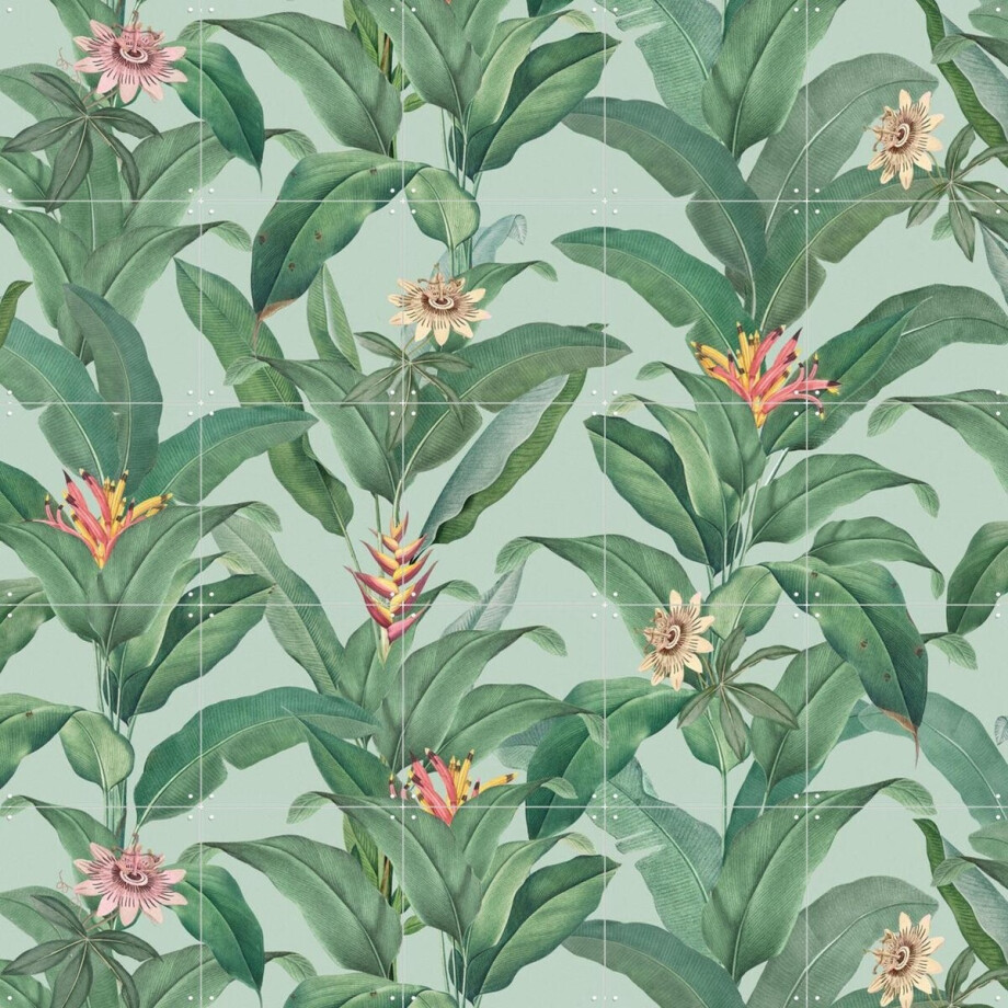 IXXI Tropical Jungle Climbing Leaves and passiflora flowers - mint, Bloomery Decor - 100 x 100 cm - Gratis ophangtool - Grote wanddecoratie en posters afbeelding 1